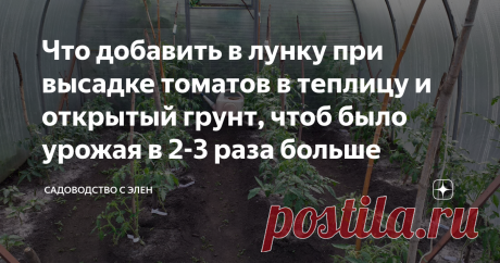 Что добавить в лунку при высадке томатов в теплицу и открытый грунт, чтоб было урожая в 2-3 раза больше Уже подходит время, когда пора пересаживать рассаду томатов в теплицу и открытый грунт. Одни регионы делают это раньше, другие позже.
Я из года в год делаю одно и тоже, поэтому расскажу, что добавляю и для чего.
Но не забываем, что перед высадкой рассады в грунт, необходимо подготовить почву в теплице, ссылка на тему будет в конце статьи.
Что добавить в лунку, чтоб урожая было в 2 раза больше?