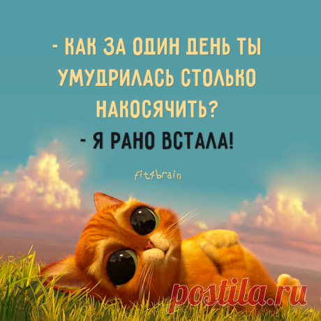 Фитнес для мозга