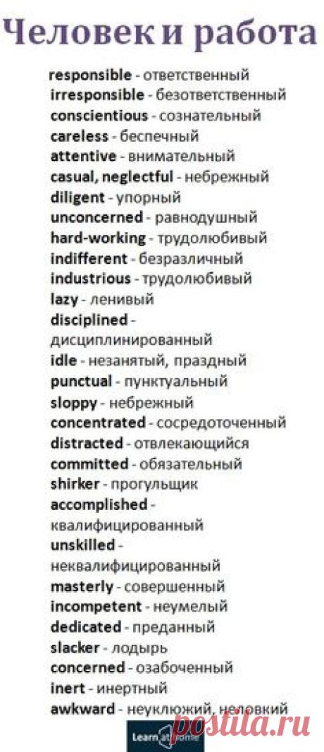 Слова для описания отношения человека к работе #english #vocabulary #английский