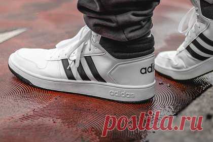 Россиянам предрекли резкий рост цен на Adidas и Reebok. Цены на продукцию популярных европейских спортивных брендов в России могут вырасти на 50 процентов относительно прошлых лет. Речь идет о подорожании одежды и обуви Adidas, Reebok, Puma и других производителей, заявила старший директор, глава ретейл-департамента CORE.XP Марина Малахатько.