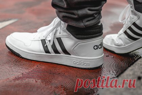 Россиянам предрекли резкий рост цен на Adidas и Reebok. Цены на продукцию популярных европейских спортивных брендов в России могут вырасти на 50 процентов относительно прошлых лет. Речь идет о подорожании одежды и обуви Adidas, Reebok, Puma и других производителей, заявила старший директор, глава ретейл-департамента CORE.XP Марина Малахатько.