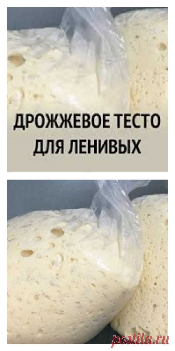 Дрожжевое тесто «Для ленивых». Очень быстро и просто - tolkovkysno.ru
