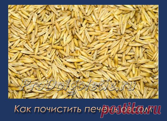 Как почистить печень | Восточная медицина, омоложение и долголетие