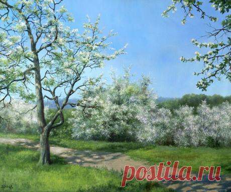 Любовь травами не лечится....