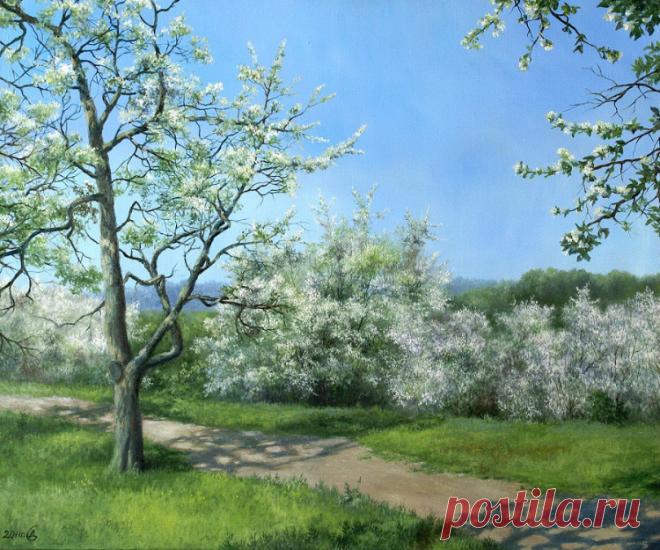 Любовь травами не лечится....