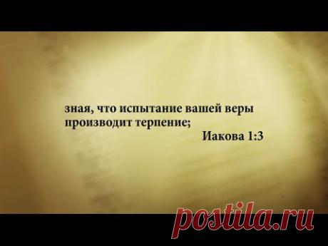 "3 минуты Библии. Стих дня" (19 февр. Иакова 1:3 )