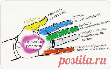 Оказывается, человеческие органы неразрывно связаны с пальцами.