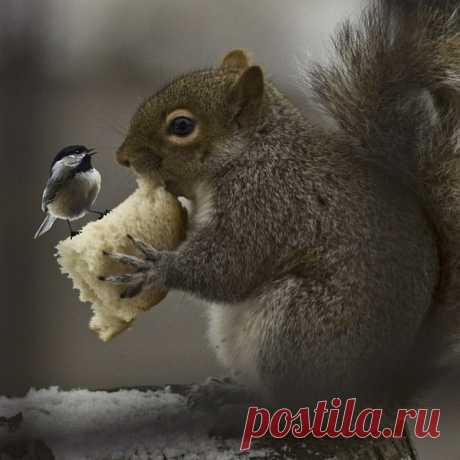 Насколько разные у всех сердца....
А ключ один - любовь и доброта!