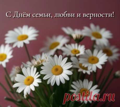 Нежность и ромашки. Яркие открытки ко Дню семьи, любви и верности | АиФ Челябинск