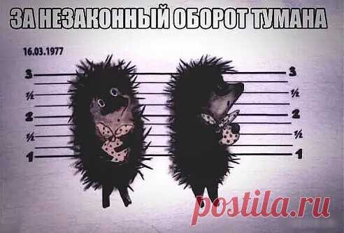 Люди, с которыми у вас прочные связи, которым вы ценны, начинают перестраиваться в связи с тем, что перестроились вы. Просто для того, чтобы продолжать быть с вами в связи. Это происходит незаметно и неосознанно. Это можно представить в метафоре шестеренок: если вдруг у одной шестеренки в системе стал больше шаг между зубцами, то остальные, чтобы система работала, тоже меняют шаг. Ну, конечно, если бы шестеренки так умели.
— Те, кто не смог пристроиться к новому вам, уходя...
