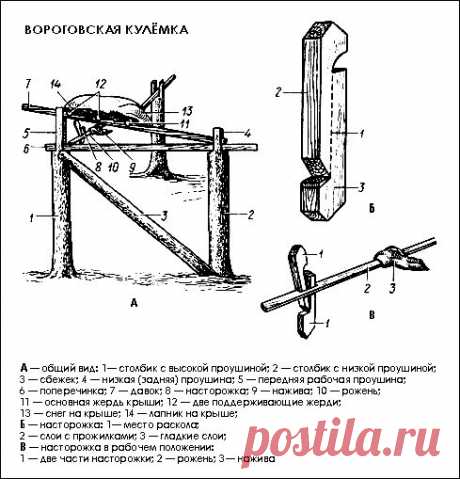 Пушной зверь голыми руками