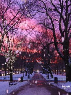 1201914.gif (240×320)