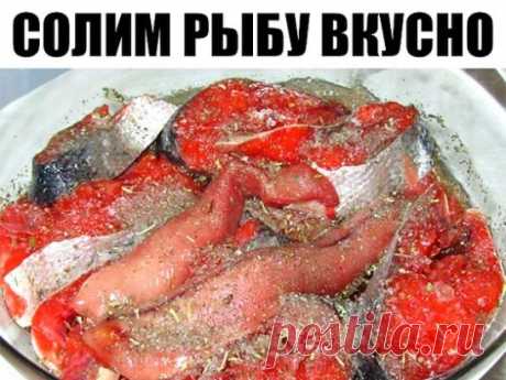 Солим рыбу вкусно! (разную рыбу)
Рыбу, приготовленную таким способом, можно кушать уже через 2 часа. Но еще вкусней она получится, если постоит немного в холодильнике и пропитается маслом. Вы берите рыбку на свой вкус.
Потребуется:
-2 рыбки
-лук по вкусу (его можно побольше, очень вкусный)
-вода комнатной температуры 400 мл
-соль 2 столовых ложки без горки
-масло подсолнечное (можно с запахом, кому нравится) 200 мл
-лавровый лист 3 штуки
-гвоздика 3 штуки
-перец горошком 10 штук
-кориандр горо