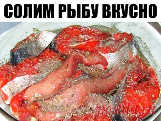 Солим рыбу вкусно! (разную рыбу)
Рыбу, приготовленную таким способом, можно кушать уже через 2 часа. Но еще вкусней она получится, если постоит немного в холодильнике и пропитается маслом. Вы берите рыбку на свой вкус.
Потребуется:
-2 рыбки
-лук по вкусу (его можно побольше, очень вкусный)
-вода комнатной температуры 400 мл
-соль 2 столовых ложки без горки
-масло подсолнечное (можно с запахом, кому нравится) 200 мл
-лавровый лист 3 штуки
-гвоздика 3 штуки
-перец горошком 10 штук
-кориандр горо