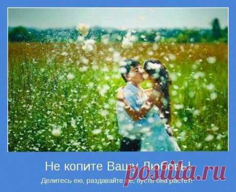 (6) Мой Мир@Mail.Ru