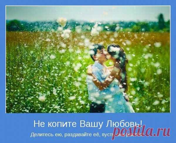 (6) Мой Мир@Mail.Ru