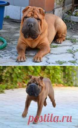 Татьяна Романова