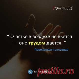 7Вопросов “ Счастье в воздухе не вьется — оно трудом дается. “ © Персидская пословица