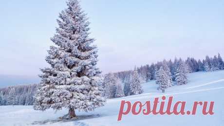 КАКОЙ СЕГОДНЯ ПРАЗДНИК? 21 Января 2016 г. – Четверг • День тихих шагов и незаметных взглядов • Национальный день объятий (National Hugging Day) 30 лет • День аспиранта 91 год • День инженерных войск РФ 315 лет • День алкогольной независимости • День бабушки - Польша • Именины у Георгия, Ивана, Василия, Емилиана, Григория, Евгения, Виктора, Иулиана, Антония, Василисы, Илии, Владимира, Дмитрия, Михаила • Емелин день