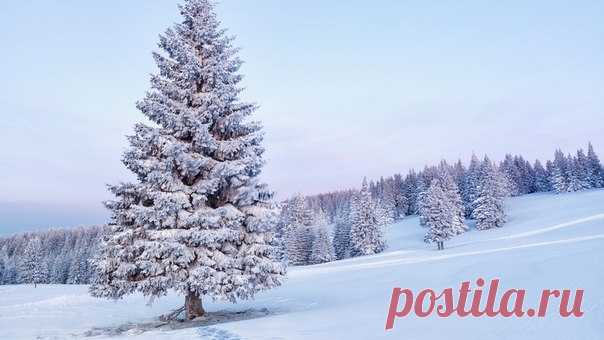 КАКОЙ СЕГОДНЯ ПРАЗДНИК? 21 Января 2016 г. – Четверг • День тихих шагов и незаметных взглядов • Национальный день объятий (National Hugging Day) 30 лет • День аспиранта 91 год • День инженерных войск РФ 315 лет • День алкогольной независимости • День бабушки - Польша • Именины у Георгия, Ивана, Василия, Емилиана, Григория, Евгения, Виктора, Иулиана, Антония, Василисы, Илии, Владимира, Дмитрия, Михаила • Емелин день