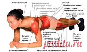 Главное упражнение для сохранения здоровья. ПЛАНКА | ЭТО ИНТЕРЕСНО!