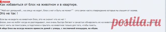 Блохи - Форум о болезнях и лечении кошек