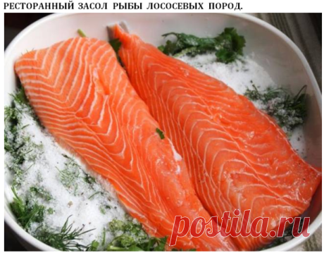 Ресторанный засол рыбы лососевых пород