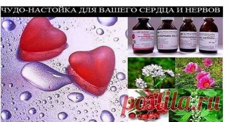 ЧУДО-НАСТОЙКА ДЛЯ ВАШЕГО СЕРДЦА И НЕРВОВ.