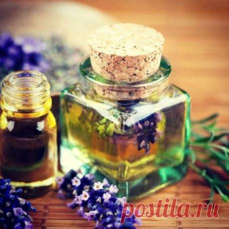 Статьи - Масла для красоты волос – СТОПЖИР