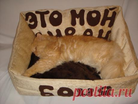 это МОЙ диван!!!