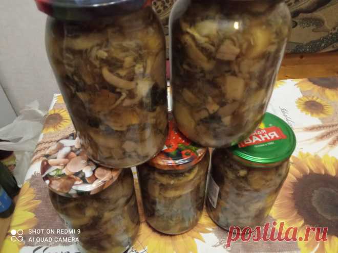 Маринованные грибы на зиму — рецепт на 1 литр воды. Вкусная закуска, в магазине такой не купишь | Блоггерство на пенсии | Яндекс Дзен