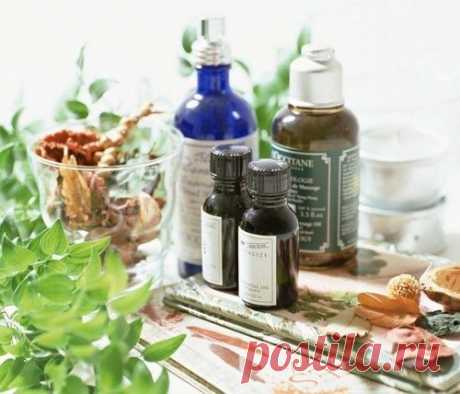 Советы княгини Голициной