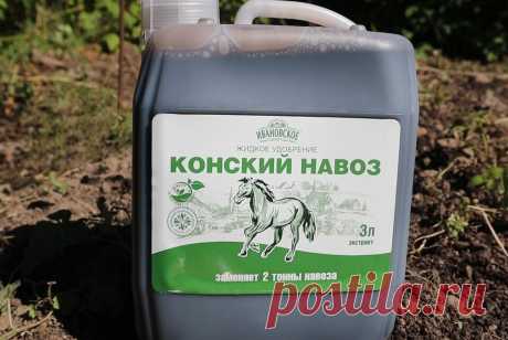 Вот что заменяет целый камаз навоза. Развожу в 200л бочке такое удобрение и поливаю в июне. Овощи растут крупные и полезные. | Сад огород лайф. (Статьи) | Дзен