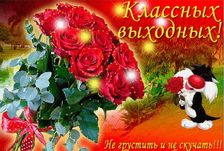 (14) Мой Мир@Mail.Ru
