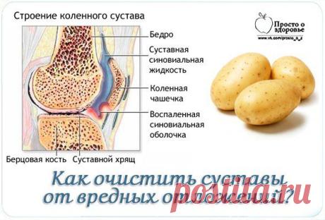 Как очистить суставы от вредных отложений?.