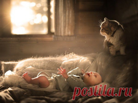 Секреты фотошопа. Часть 2. - Pro Comp - Группы Мой Мир