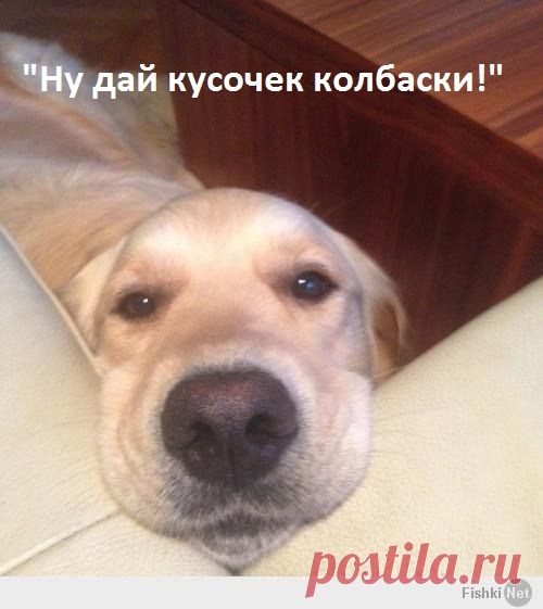 Афоризмы и цитаты 15 часть 11