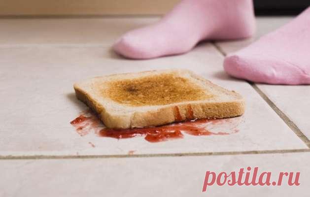 Закон Мерфи, или закон бутерброда: как можно применять его в свою пользу — Гармония в тебе