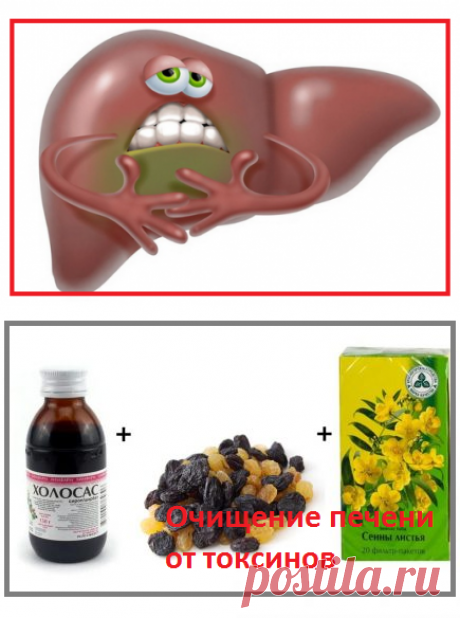 Как почистить печень от токсинов, если принимаете много лекарств | моя записная книжка | Яндекс Дзен