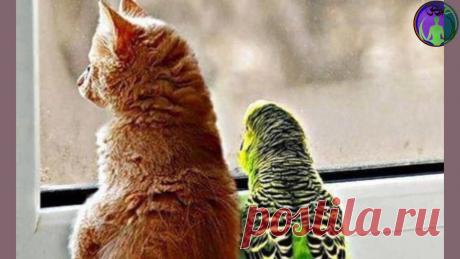 Мы все всегда чего-то ждём. Вся наша жизнь равняется слову "жди" | ЗОЖ путь изнутри вовне | Яндекс Дзен