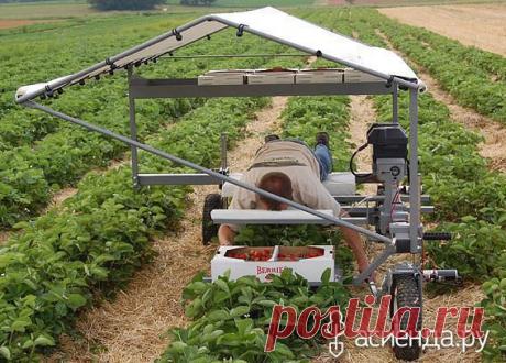 Лень-двигатель прогресса: Группа Обустройство и украшение дачного участка