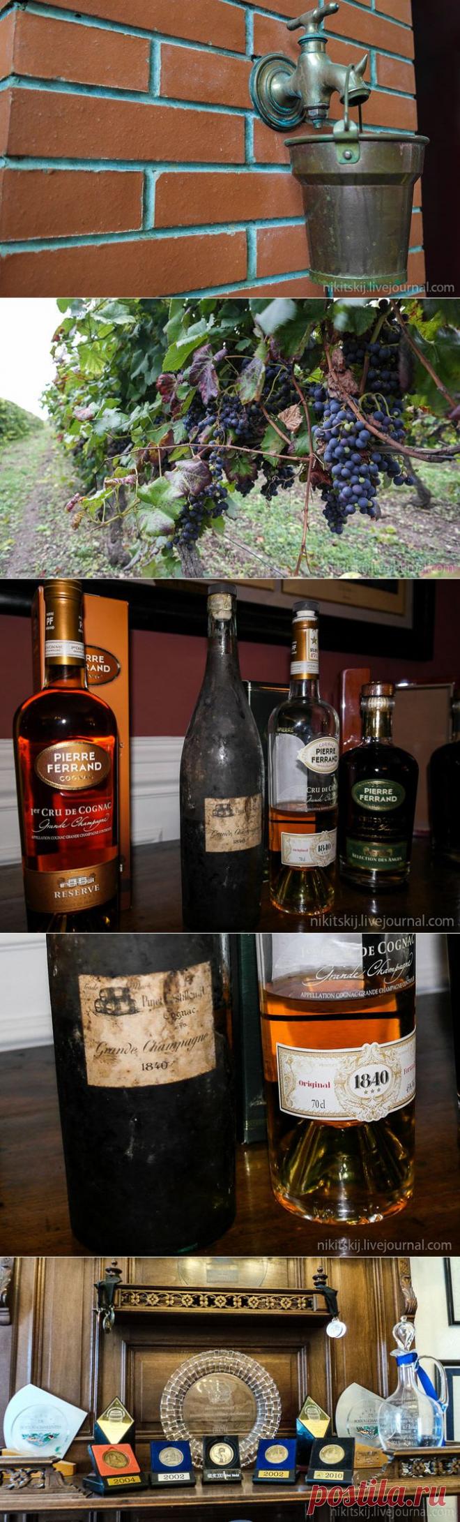 (+1) тема - Как правильно пить коньяк | Полезные советы