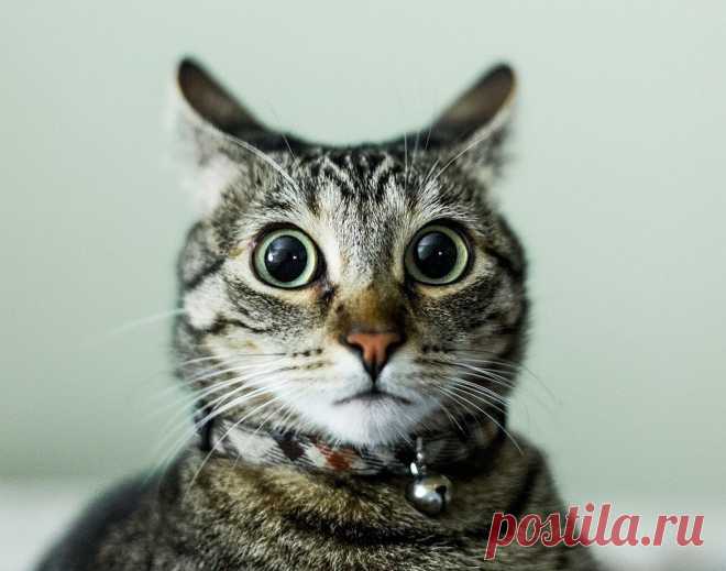 Берегите природу