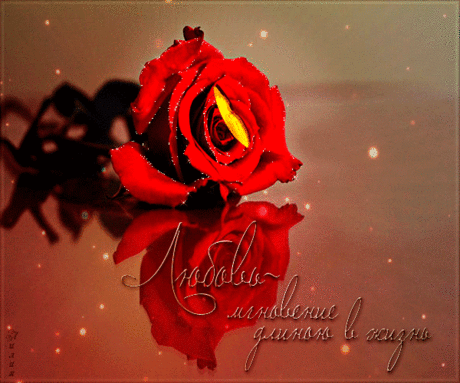 ٭ʞōhʁɣʇəʚɔ ✣ ✤ ❋ ٭ ✱ ✲ - на Мой Мир@Mail.ru