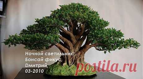 Ночной светильник: Бонсай фикус