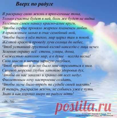 (24) Одноклассники