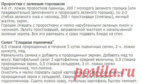 Рецепты блюд с проростками на каждый день - кулинарная статья