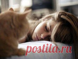 Все статьи раздела: Сонник