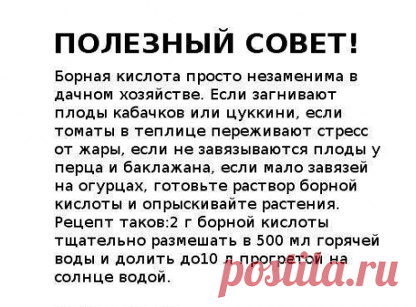 ●•●•●•●•●•●•●•●•●•●•●•●•●•●•●•●•●•●•●•●•●•●•●•●•●•●
 Чтобы получать каждый день лучшие секреты нашей группы прямо себе на страницу, присоединяйтесь к нам ➪ ok.ru/psovet
●•●•●•●•●•●•●•●•●•●•●•●•●•●•●•●•●•●•●•●•●•●•●•●•●•●