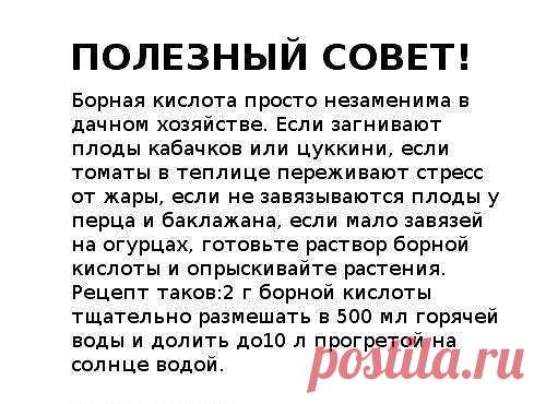 ●•●•●•●•●•●•●•●•●•●•●•●•●•●•●•●•●•●•●•●•●•●•●•●•●•●
 Чтобы получать каждый день лучшие секреты нашей группы прямо себе на страницу, присоединяйтесь к нам ➪ ok.ru/psovet
●•●•●•●•●•●•●•●•●•●•●•●•●•●•●•●•●•●•●•●•●•●•●•●•●•●